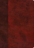 ESV Study Bible (TruTone, Burgundy/Red, Timeless Design) by ESV (9781433563560) Reformers Bookshop