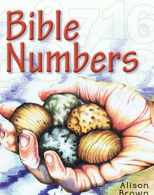 9781848710702-Bible Numbers: Introducing little children to simple Bible truths-Brown, Alison