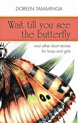 9781848711013-Wait Till You See the Butterfly: And Other Short Stories for Boys and Girls-Tamminga, Doreen