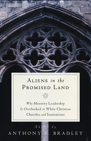 9781596382343-Aliens-in-the-Promised-Land-Why-Minority-Leadership-Is-Overlooked-in-White-Christian-Churches-and-Institutions-
