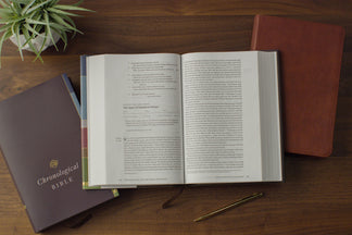 Book Review : ESV Chronological Bible (Hardcover)