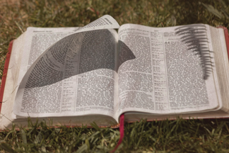 Building a Bible Reading Culture in Your Church: Complete Resource Guide