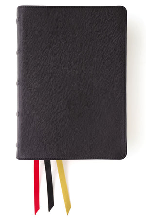 NKJV Thompson Chain-Reference Bible, Premium Goatskin Leather, Black, Premier Collection, Black Letter, Art Gilded Edges, Comfort Print by Bible