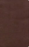KJV Single-Column Personal Size Bible (Brown, LeatherTouch) by Bible