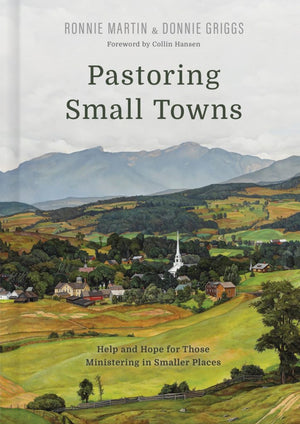 Pastoring Small Towns by Ronnie Martin; Donnie Griggs