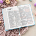 KJV Great and Small Bible (Baby Blue, LeatherTouch) by Bible
