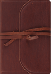 ESV Student Study Bible (Natural Leather, Brown, Flap with Strap) by ESV
