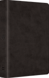 ESV Value Large Print Compact Bible (TruTone, Black) by ESV