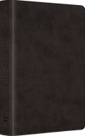 ESV Value Large Print Compact Bible (TruTone, Black) by ESV