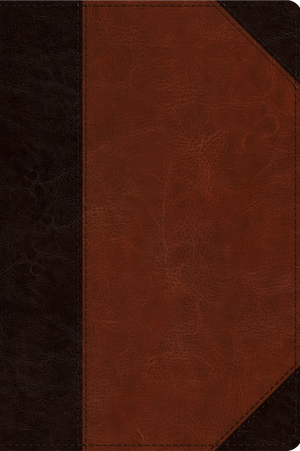 ESV Reader's Bible (TruTone, Brown/Cordovan, Portfolio Design) by ESV