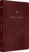 ESV Gift and Award Bible (TruTone, Burgundy) by ESV