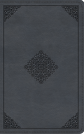 ESV Large Print Thinline Bible (TruTone, Azurite Blue, Ornament Design) by ESV