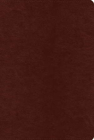 ESV Single Column Heritage Bible (TruTone, Chestnut) by ESV