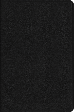 ESV Everyday Gospel Bible: Connecting Scripture to All of Life (Genuine Leather, Black) by ESV