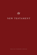 ESV New Testament, Share the Good News Edition