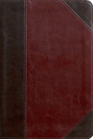 ESV Reader’s Bible (TruTone, Brown/Cordovan, Portfolio Design)