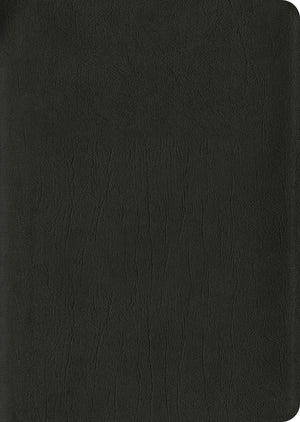 KJV Life Application Study Bible, Third Edition, Large Print (Genuine Leather, Black, Red Letter) by Bible
