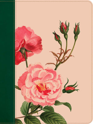 KJV Wide Margin Bible, Filament-Enabled Edition (LeatherLike, Pink Rose Garden, Red Letter) by Bible
