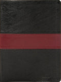 KJV Apologetics Study Bible (Black/Red, Leathertouch) by Bible
