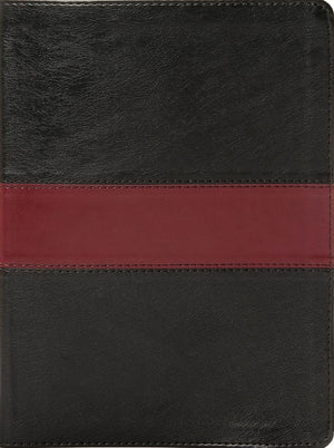 KJV Apologetics Study Bible (Black/Red, Leathertouch) by Bible
