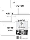 Latina Christiana & Prima Latina Flashcards, Fourth Edition