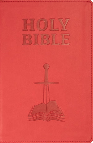 NASB Children’s Edition (Faux Leather, Sunset Red) by Bible