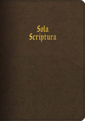 LSB Portable Paragraph Reference Red Letter (Paste-Down Cowhide, Brown - Sola Scriptura) by Bible