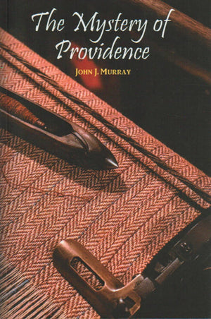 Mystery of Providence, The by John J. Murray