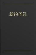 Chinese New Testament (Vinyl Paperback - Black) by Bible
