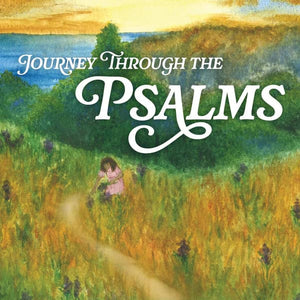 Journey Through the Psalms: A Thirty-Day Devotional by Mike Velthouse