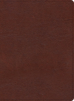 KJV Study Bible, Large Print Edition (Brown, Bonded Leather) by Bible
