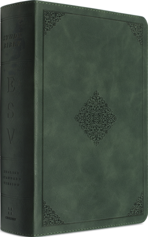 ESV Study Bible, Personal Size (TruTone, Quiet Forest, Ornament Design)
