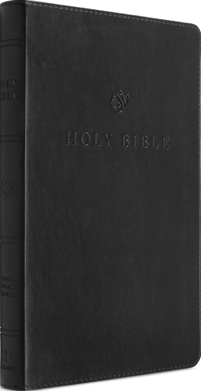 ESV Premium Church Bible, Large Print, Red Letter (TruTone, Black)