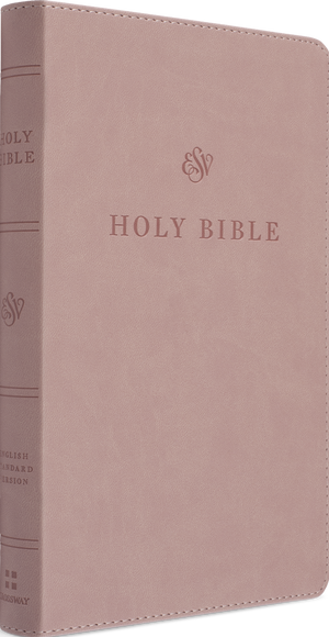 ESV Premium Church Bible, Large Print (TruTone, Blush Rose)