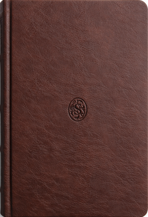 Sing! Hymnal, The (TruTone over Board, Brown)