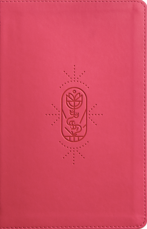 ESV Holy Bible for Kids (Trutone, Berry, The True Vine Design)