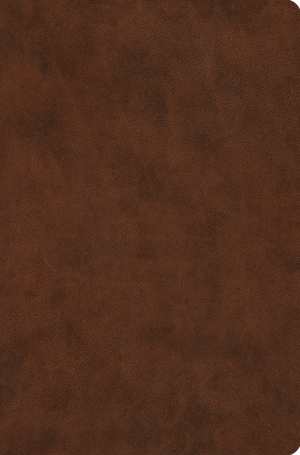 ESV Value Compact Bible, Red Letter (TruTone, Brown)