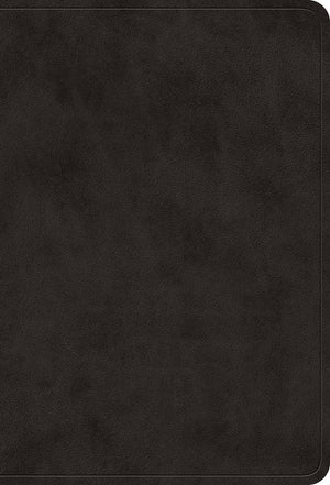 ESV Value Large Print Compact Bible (TruTone, Black)