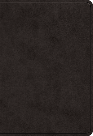 ESV Value Large Print Compact Bible, Red Letter (TruTone, Black)