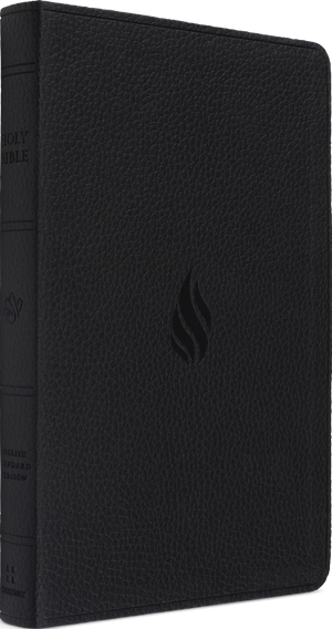ESV Premium Gift Bible, Red Letter (TruTone, Midnight, Flame Design)