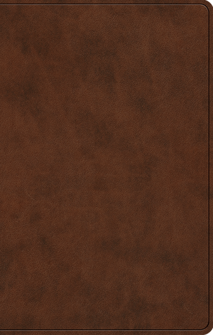 ESV Premium Gift Bible, Red Letter (TruTone, Brown)