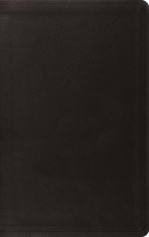 ESV Value Thinline Bible (TruTone, Black)