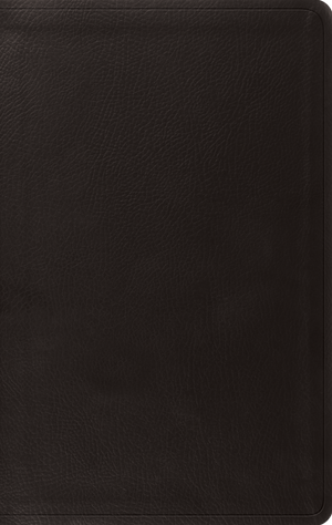 ESV Value Thinline Bible, Red Letter (TruTone, Black)