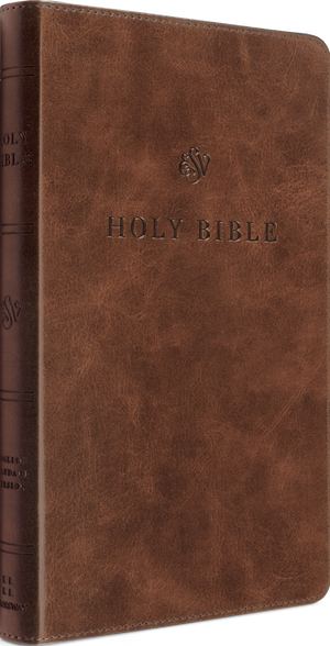 ESV Premium Church Bible: TruTone®, TruTone®, Brown