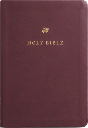 ESV Gift and Award Bible (TruTone, Burgundy)