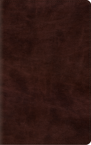 ESV Thinline Bible, Red Letter (TruTone, Espresso)