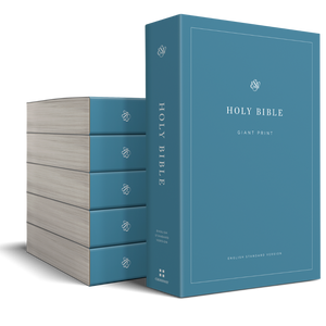 ESV Economy Bible, Giant Print (Paperback, Case of 12)