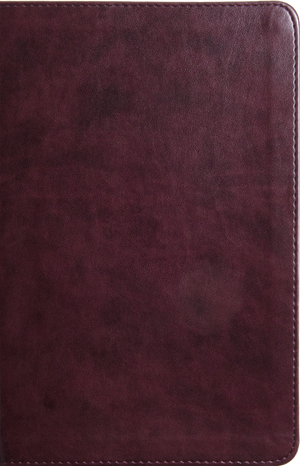 ESV Large Print Thinline Bible (TruTone, Mahogany)
