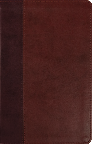 ESV Large Print Thinline Bible, Red Letter (TruTone, Burgundy/Red, Timeless)
