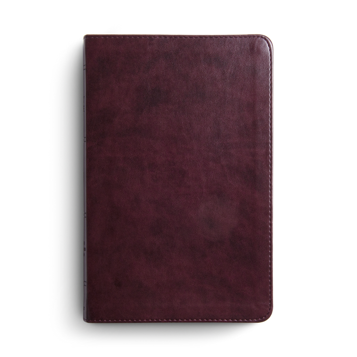 ESV Large Print Thinline Bible, Red Letter (TruTone, Mahogany) by ESV